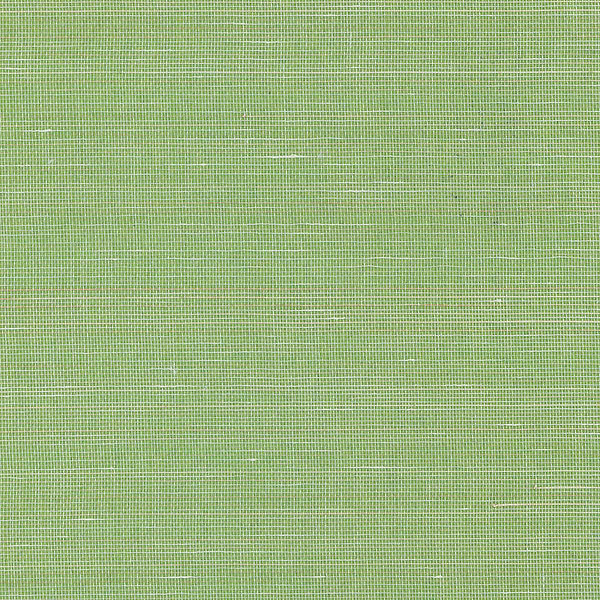 Abaca Natural Palette-Tapete-Greenland-2081-Meter (M1)-N158NA2081-Selected Wallpapers