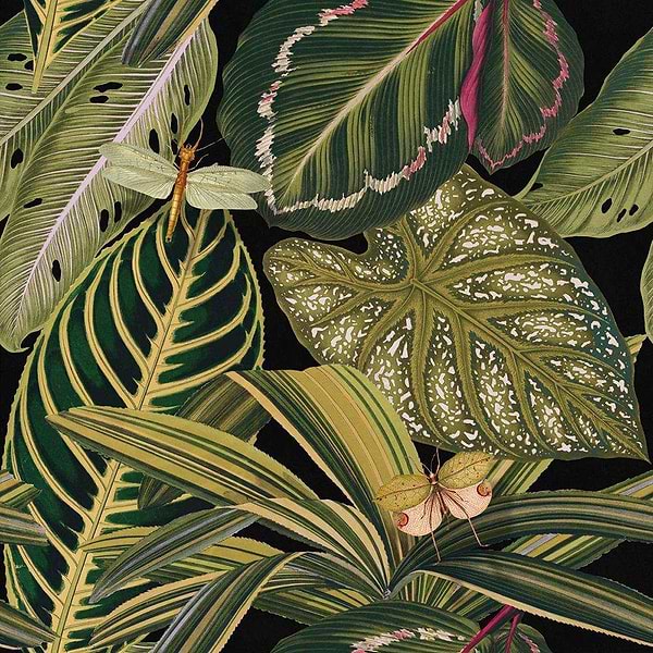 Amazonia-behang-Mind the Gap-Multicolor-300 cm (standaard)-WP20159-Selected Wallpapers