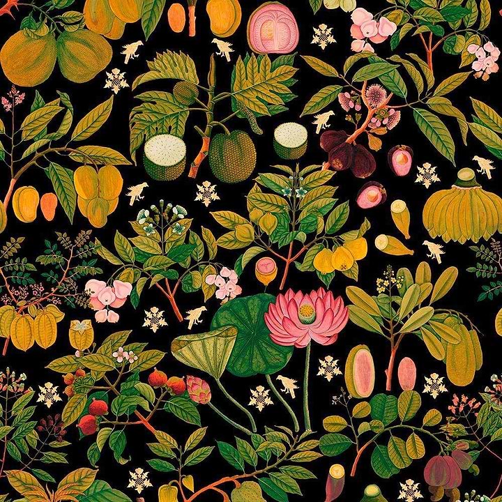 Asian Fruits and Flowers-Tapete-Mind the Gap-Antraciet-300 cm (standaard)-WP20314-Selected Wallpapers