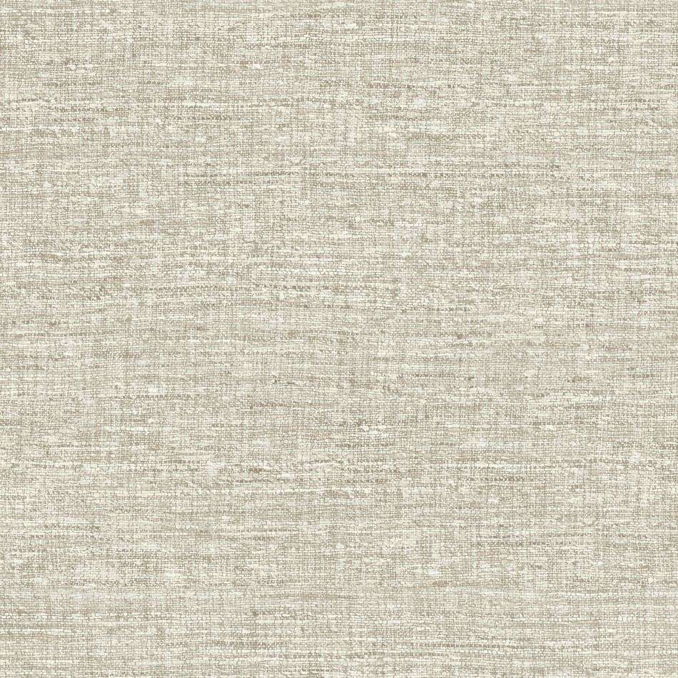 Aspero-wallpaper-Arte-Mushroom-Roll-40545-Selected Wallpapers