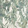Aula-Tapete-Romo-Hummingbird-Rolle-W445/02-Selected Wallpapers