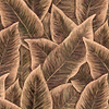 Bird of Paradise-Tapete-Arte-Blush-Meter (M1)-97570-Selected Wallpapers