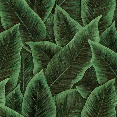 Bird of Paradise-Tapete-Arte-Emerald-Meter (M1)-97572-Selected Wallpapers