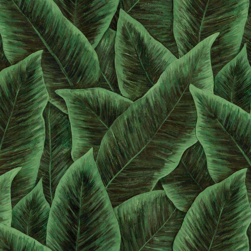Bird of Paradise-behang-Arte-Emerald-Meter (M1)-97572-Selected Wallpapers