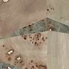 Bois Marbre Ecaille-Tapete-CMO Paris-Nude-Meter (M1)-CMO WBO 04 15-Selected Wallpapers
