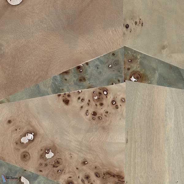 Bois Marbre Ecaille-Tapete-CMO Paris-Nude-Meter (M1)-CMO WBO 04 15-Selected Wallpapers