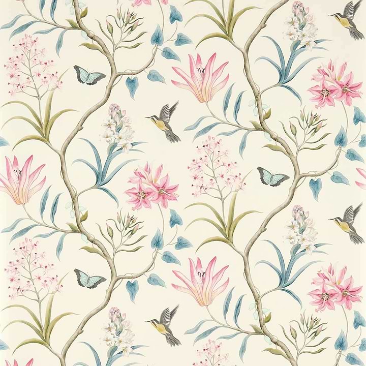 Clementine-Tapete-Sanderson-Dusky Pink-Rolle-213386-Selected Wallpapers