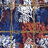 Corallia-wallpaper-Mind the Gap-Dark-300 cm (standaard)-WP20563-Selected Wallpapers