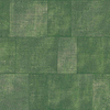 Cuadro-wallpaper-Arte-Clover-Roll-49545-Selected Wallpapers