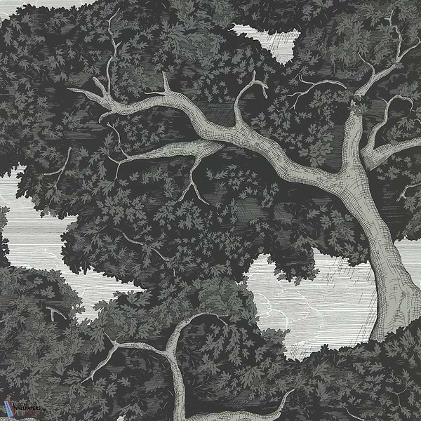 Eternal Oak-wallpaper-Harlequin-Ebony/First Light-Roll-113040-Selected Wallpapers