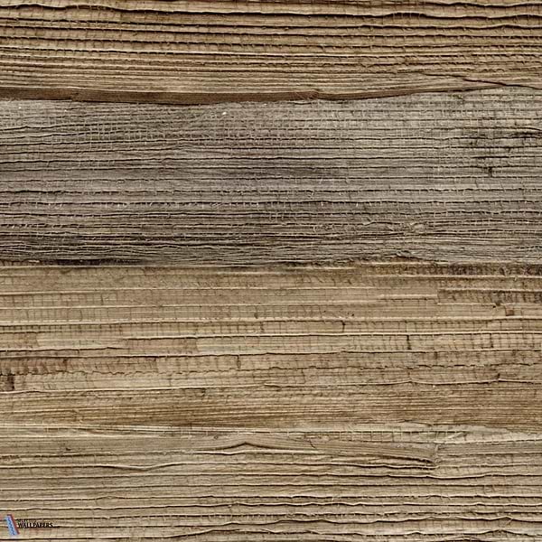 Feuilles de Bananier-Tapete-CMO Paris-Naturel-Meter (M1)-CMO WBA 01 10-Selected Wallpapers