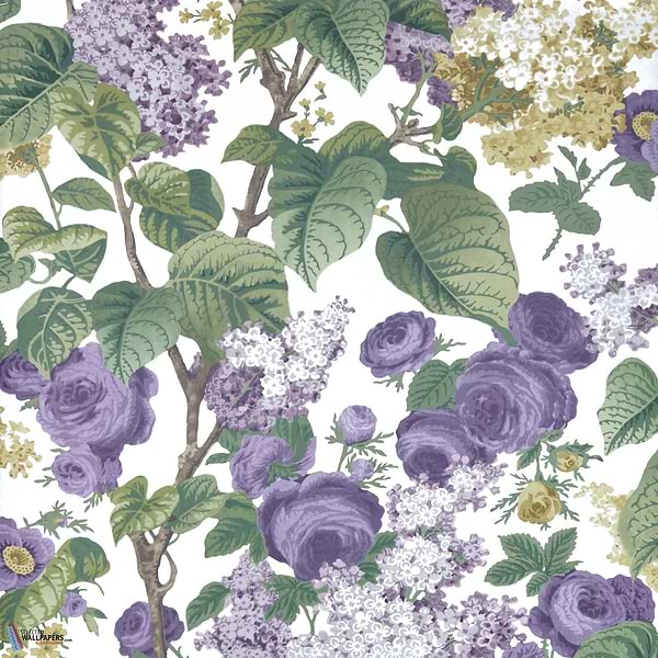 Floribunda-Wallpaper-1838 wallcoverings-Lavender-Roll-2311-168-01-Selected Wallpapers