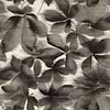 Grounded-wallpaper-Harlequin-Black Earth-Roll-113005-Selected Wallpapers