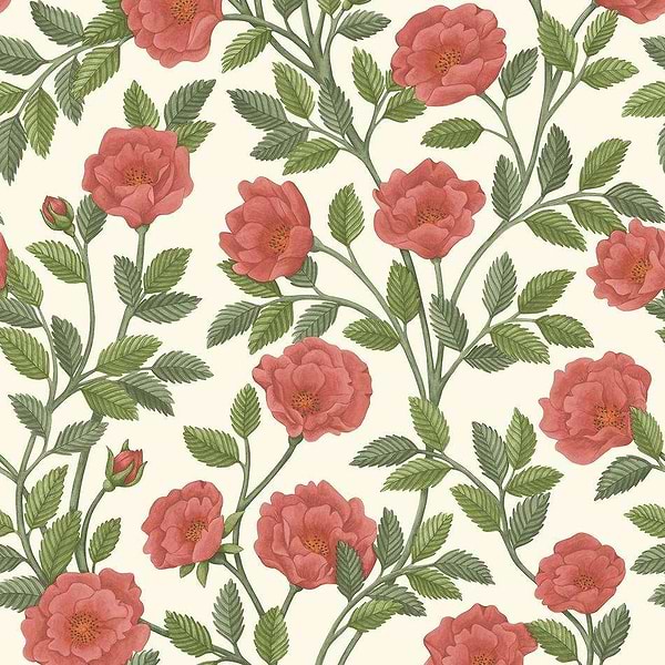 Hampton Roses-Tapete-Cole & Son-Rouge & Spring Green-Rolle-118/7013-Selected Wallpapers