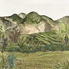 Hapao-Wallpaper-Casamance-Olive-Set-75621120-Selected Wallpapers