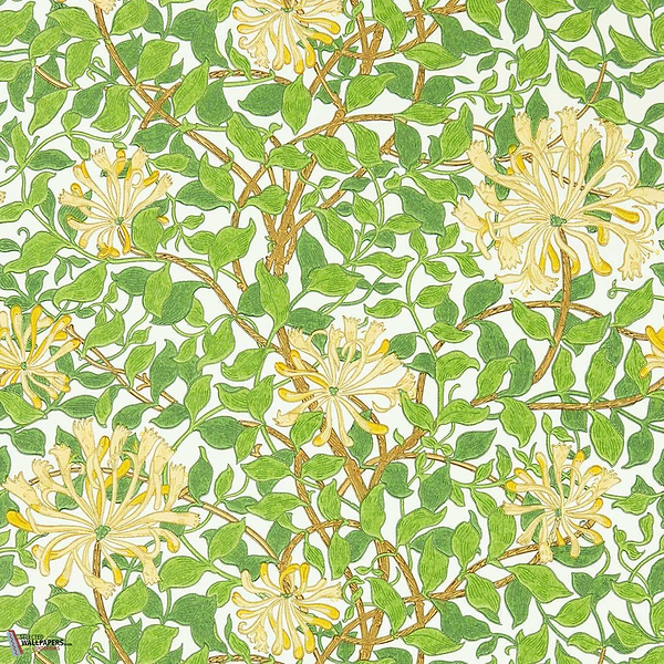 Honeysuckle-Wallpaper-Morris & Co-Selected Wallpapers