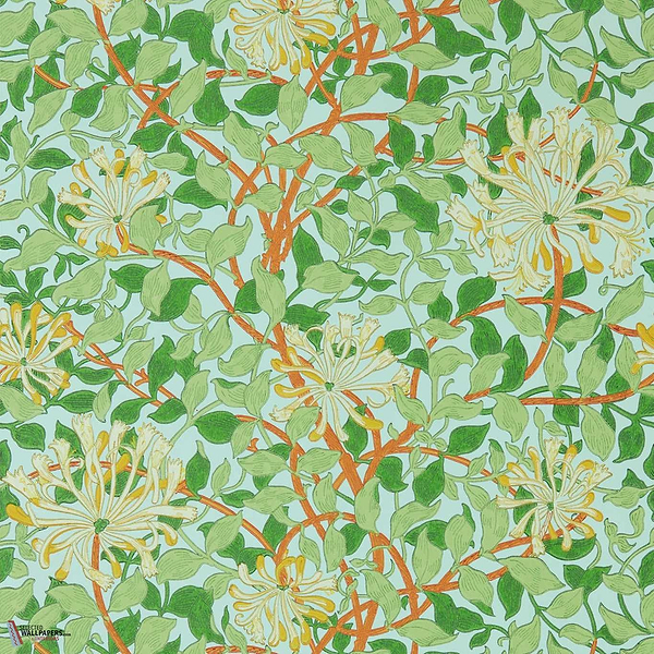 Honeysuckle-Wallpaper-Morris & Co-Selected Wallpapers