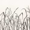 Hors Champs-Wallpaper-Nobilis-00-Roll-PAN130-Selected Wallpapers