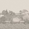 Idylle-Wallpaper-Cole & Son-Selected Wallpapers