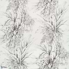 Jalapao-wallpaper-Pierre Frey-Fusain-Meter (M1)-FP549001-Selected Wallpapers