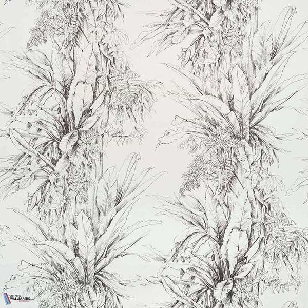 Jalapao-wallpaper-Pierre Frey-Fusain-Meter (M1)-FP549001-Selected Wallpapers