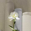 James-Wallpaper-Pierre Frey-Selected Wallpapers