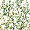 Jardin Bloom Mural-Wallpaper-Thibaut-White-Set-TM13666-Selected Wallpapers