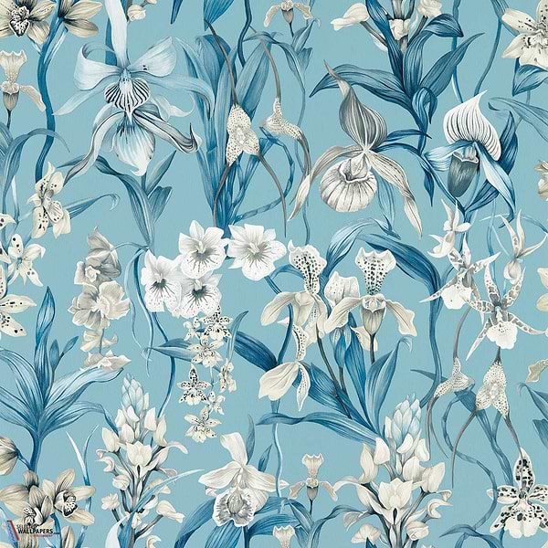 Kalina-wallpaper-Harlequin-Celestial/Murmuration-Roll-113008-Selected Wallpapers