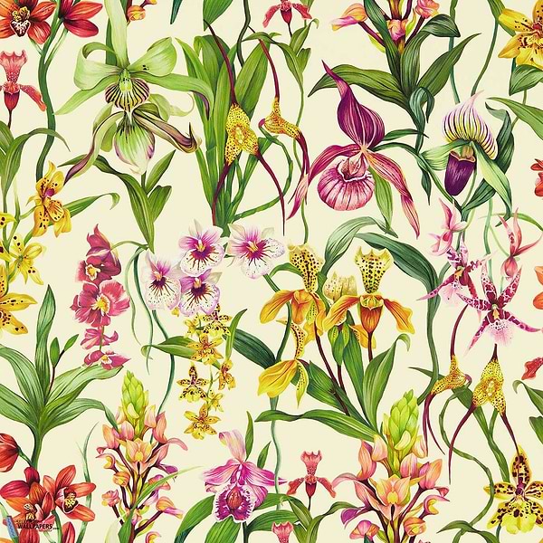 Kalina-wallpaper-Harlequin-Parchment/Forest-Roll-113009-Selected Wallpapers