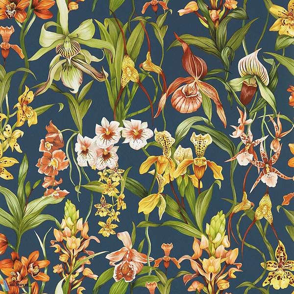 Kalina-wallpaper-Harlequin-Midnight/Baked-Roll-113010-Selected Wallpapers