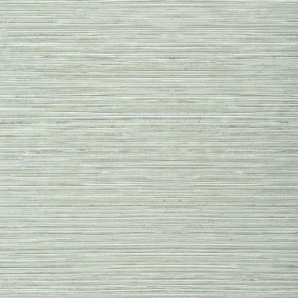 Kendari Grass-Wallpaper-Thibaut-Robin's Egg-Roll-T303-Selected Wallpapers
