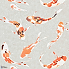 Koi-wallpaper-Harlequin-Paprika-Roll-110903-Selected Wallpapers