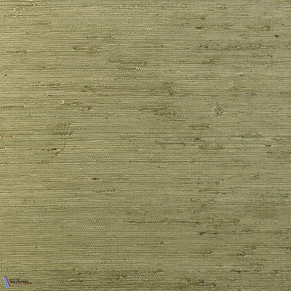 Kudzu-Wallpaper-Arte-Olive-Meter (M1)-54530-Selected Wallpapers