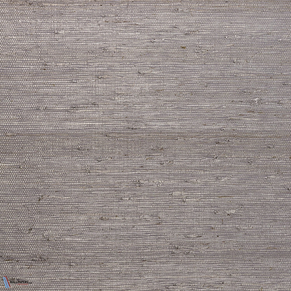 Kudzu-Tapete-Arte-Dove Grey-Meter (M1)-54537-Selected Wallpapers