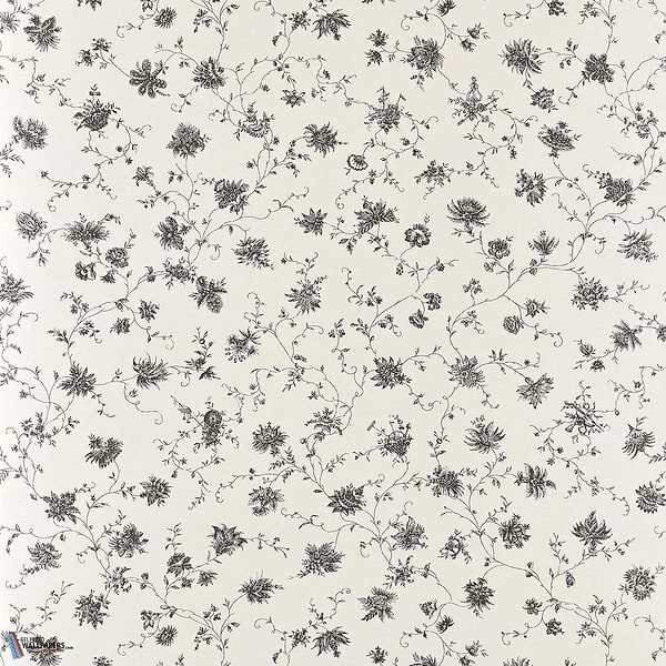 La Discrete-wallpaper-Braquenie-Noir-Roll-BP361001-Selected Wallpapers