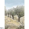 Lauris Int-Tapete-Casamance-Selected Wallpapers