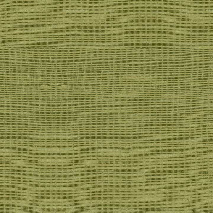 Line-Wallpaper-Arte-Fern-Meter (M1)-72750-Selected Wallpapers