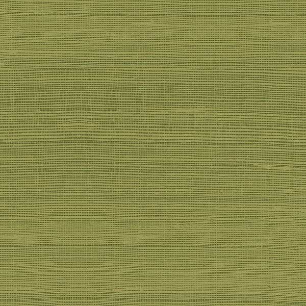 Line-Wallpaper-Arte-Fern-Meter (M1)-72750-Selected Wallpapers