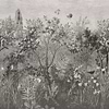 Livi Hortus-wallpaper-LondonArt-03-RAW-S120-18058 03-Selected Wallpapers