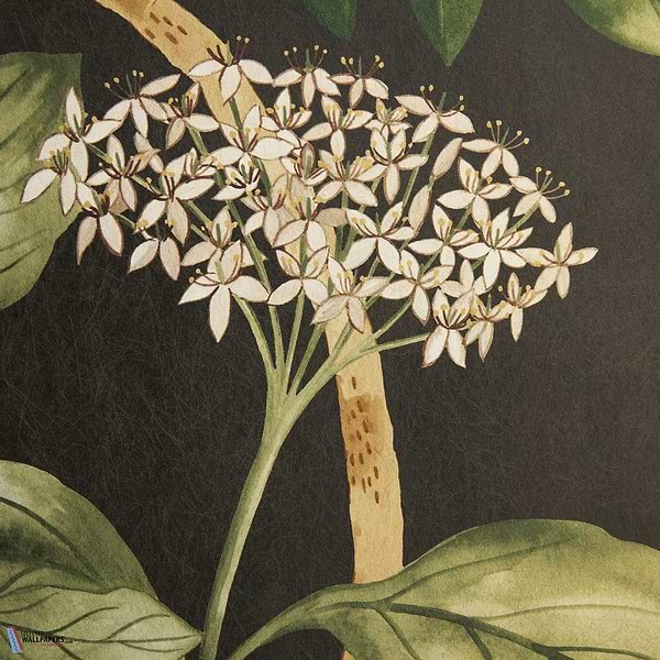 Magical Plants-Behang-Liberty-Jade-Meter (M1)-07292201I-MT-Selected Wallpapers