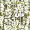 Mantra-Tapete-Elitis-2-Rolle-TP 314 02-Selected Wallpapers