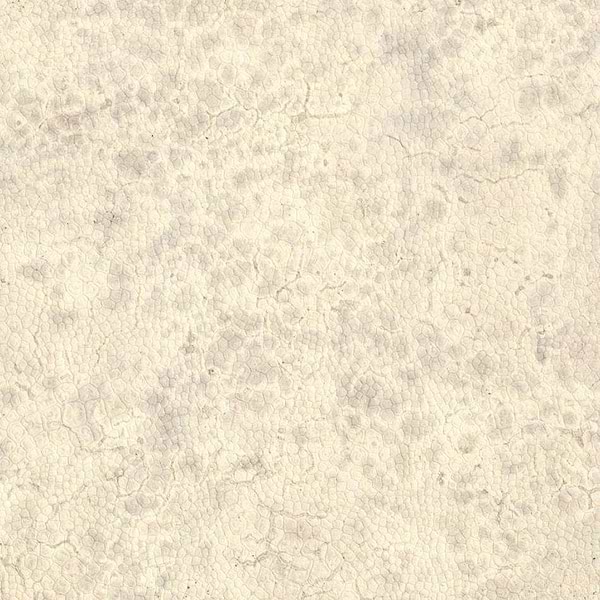 Moon-Tapete-Nobilis-0-Meter (M1)-DPN20-Selected Wallpapers
