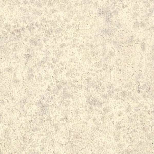 Moon-Tapete-Nobilis-0-Meter (M1)-DPN20-Selected Wallpapers