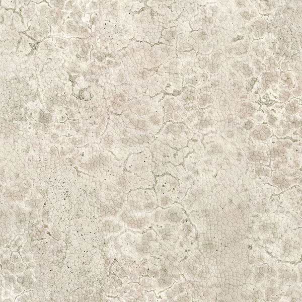 Moon-Tapete-Nobilis-2-Meter (M1)-DPN22-Selected Wallpapers