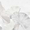 Naiadi Re-Edition-Wallpaper-LondonArt-04-RAW-S120-17502 04-Selected Wallpapers