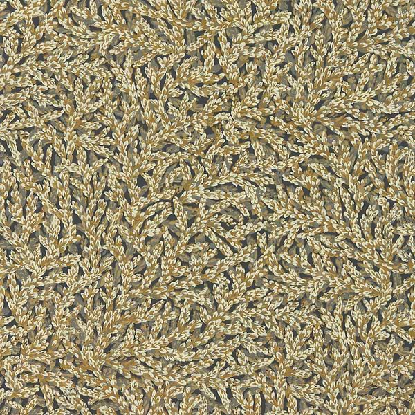 Nootka-Wallpaper-Zoffany-Antique Gold-Roll-313027-Selected Wallpapers