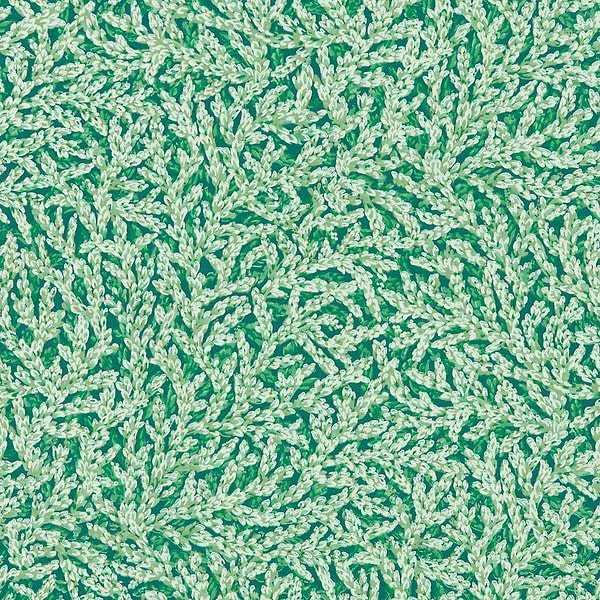 Nootka-Wallpaper-Zoffany-Poison-Roll-313028-Selected Wallpapers