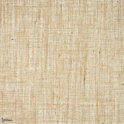 Owen-Wallpaper-Pierre Frey-Corde-Meter (M1)-FP939003-Selected Wallpapers