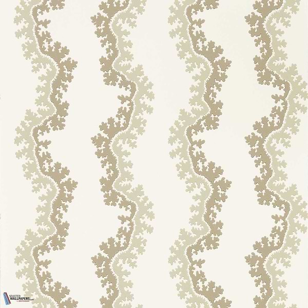 Oxbow-Wallpaper-Sanderson-Birch-Roll-217249-Selected Wallpapers