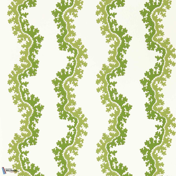 Oxbow-Wallpaper-Sanderson-Sape Green-Roll-217251-Selected Wallpapers